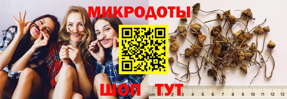 Галлюциногенные грибы Magic Shrooms  Вход с VPN  Галлюциногенные грибы прущие грибы  Майкоп 