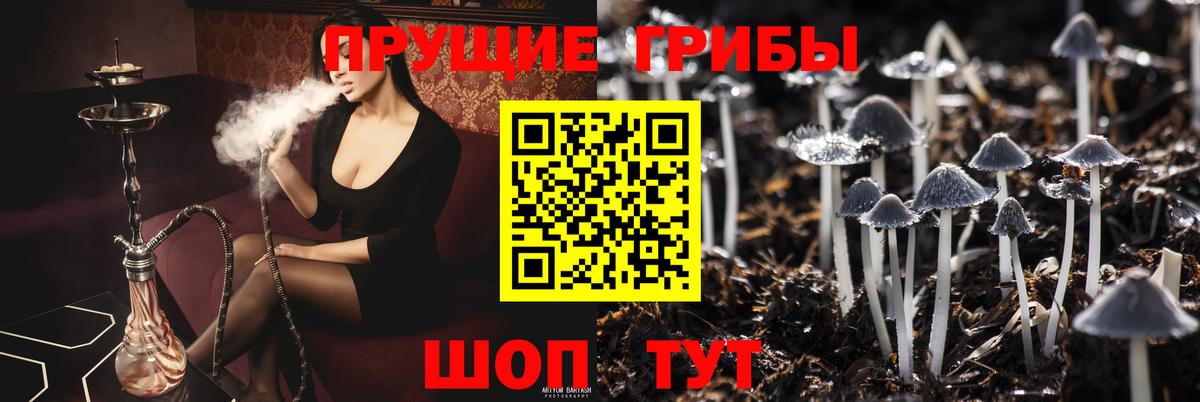 Галлюциногенные грибы Cubensis Майкоп